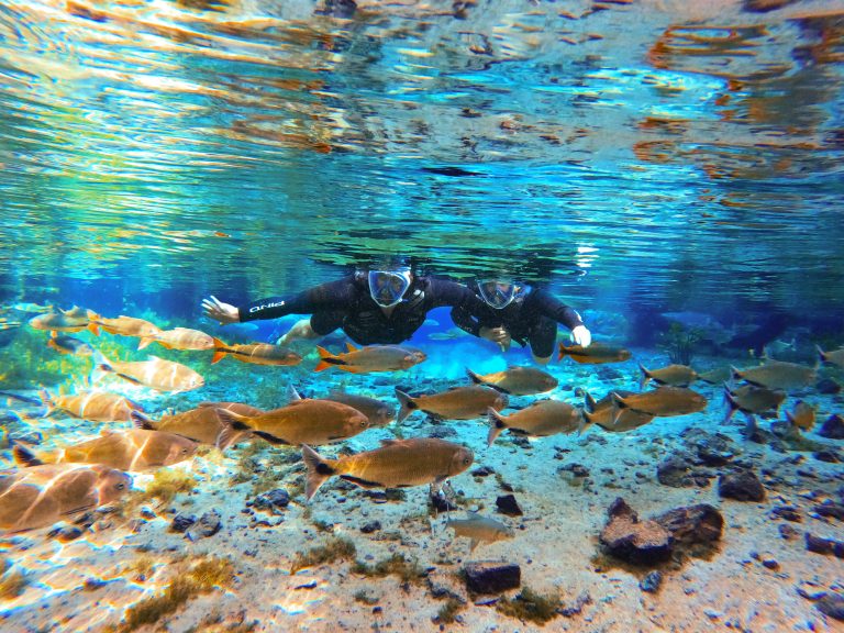 Flutuação Nascente Azul 1