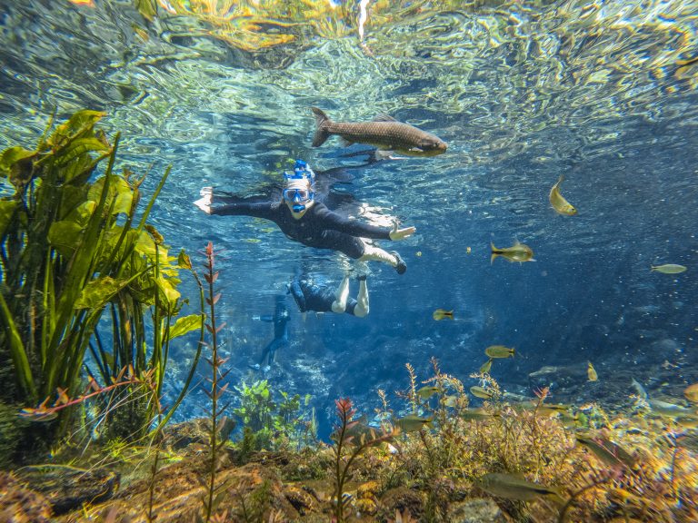 DCIM100GOPROGOPR2683